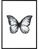 Plakat w ramie Butterfly I 5070