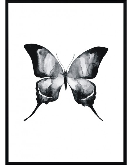 Plakat w ramie Butterfly II 50x70